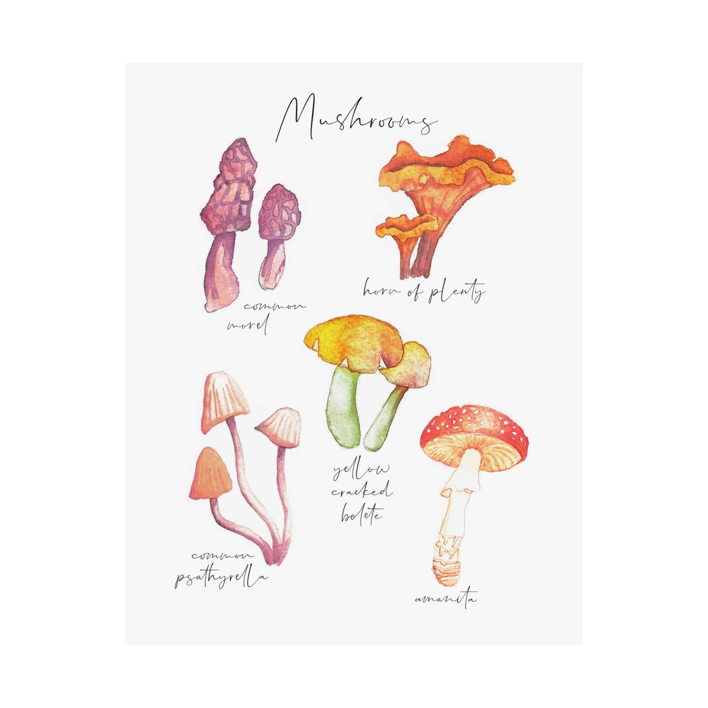 Mushrooms Poster